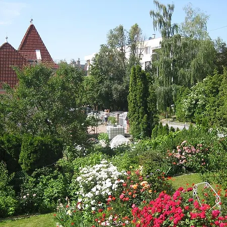 Rosen Heviz